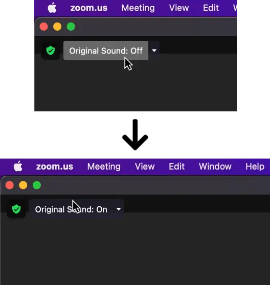 zoom enable original sound